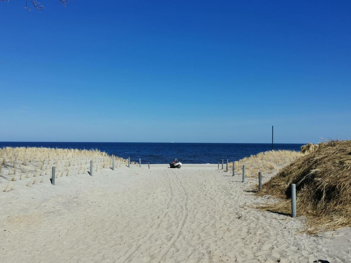 Waldblick Vom Naturhof Usedom Apartment