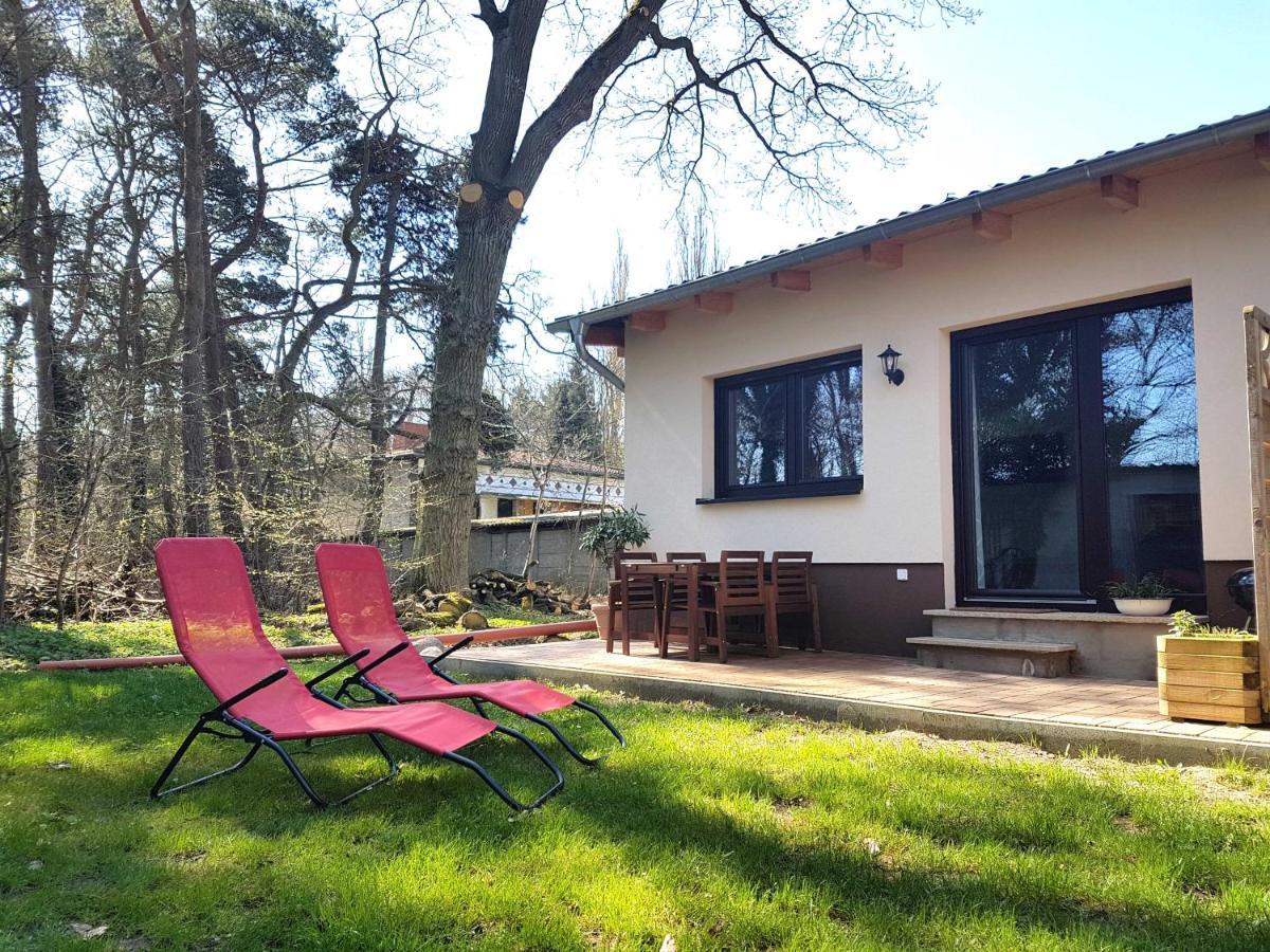 Waldblick Vom Naturhof Usedom